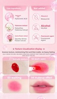 Pudding Jelly Zelfnivellerende Volumegevende Vegan Lip Glaze Zonder Logo Dubbel Gebruiksdoel Lippen Wangen Zachte Matte Finish Vloeibare Siliconenborstel Op Maat