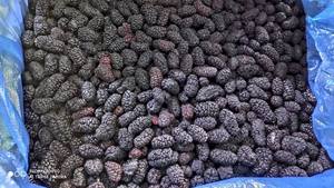 มัลเบอร์รี่แช่แข็งขายส่งแบบเป็นชุด ผลผลิตใหม่ปลูกแบบเปิดโล่ง น้ำหนัก 10 กก. LQF ผลผลิตทั้งลูก ผลิตจากมณฑลซานตง ประเทศจีน - Product Image 4