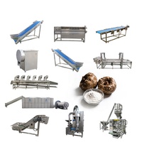 Fabrieksleverancier Konjac Poeder Verwerkingslijn Automatische Konjac Droogapparatuur Automatische Porang Konjac Chips Droogmachine