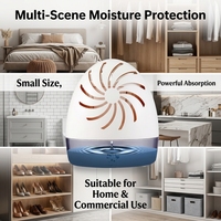 Boîte déshumidifiante réutilisable écologique, déshumidificateur non électrique pour usage domestique, pièges à l'humidité et absorbeurs