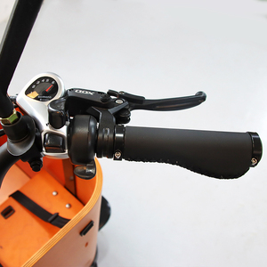 Nouveau vélo cargo électrique à 3 roues, best-seller, avec <span class=keywords><strong>porte</strong></span> latérale, pour usage familial, vélo hollandais pour transporter des enfants et des animaux de compagnie - Product Image 4