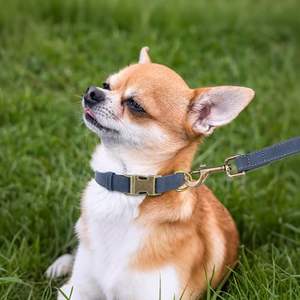 Kalung Anjing Kulit PU Kalung Anjing Mewah Tali Anjing Kalung Kulit Kalung Anjing Taktis Kalung Anjing Gesper Logam - Product Image 3