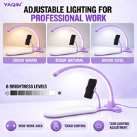 Lampe de bureau demi-lune 3-en-1 OEM ODM 48W avec repose-main et support téléphone, éclairage réglable pour fournisseurs de salons