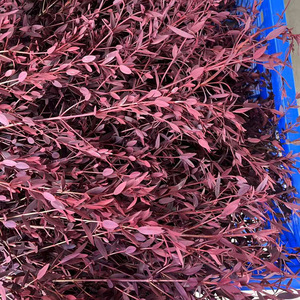 Commercio all'ingrosso di eucalipto essiccato belle foglie di piante conservate <span class=keywords><strong>rose</strong></span> naturali a basso costo di consegna per matrimoni feste natale - Product Image 6
