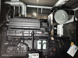 Generador Original Commings Pekins de 625 kVA, 500 kW, 550 kW, 600 kW, 650 kW, 700 kW, Planta Eléctrica Diésel de 50 Hz/60 Hz para Desiertos y Sitios Mineros - Product Image 5
