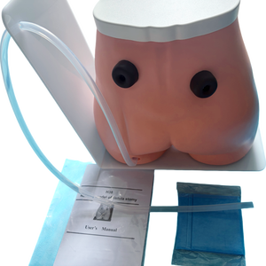 Modèle anatomique d'enseignement infirmier de fistule et d'ostomie grandeur nature en PVC de haute qualité <span class=keywords><strong>pour</strong></span> la science médicale - Product Image 4