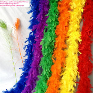 บัวขนนกตุรกี Chandelle สายรุ้งยอดนิยมสําหรับเครื่องแต่งกายคาร์นิวัล - Product Image 4