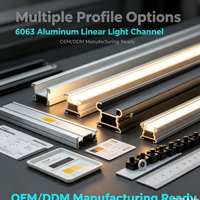 Profilé en aluminium 6063 durable pour éclairage LED, accessoires complets pour la fabrication de luminaires linéaires