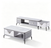 Meuble TV et Table Basse de Salon de Haute Qualité, Meuble de Rangement, Vente Chaude