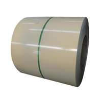 Bobina di Acciaio Zincato Preverniciato Dx51d S350gd PPGI per Coperture, Rivestimento PE PVDF HDP Colorbond