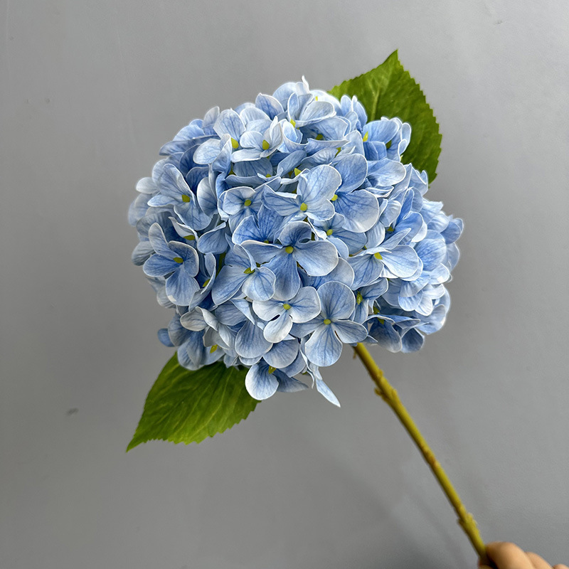 Azul claro