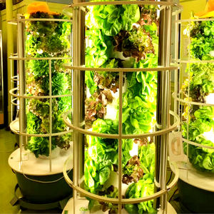 Sistema di Coltivazione Idroponica a Torre, Serra Aeroponica, Sistemi Verticali di Agricoltura, Giardino a Torre con Nebulizzazione - Product Image 5