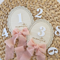Disques de jalon mensuels en mousseline de soie pour bébé numéros interchangeables ensemble d'accessoires photo mensuels annonce de naissance d'arc