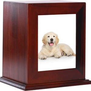 Urna de madera maciza para mascotas, ataúd pequeño para gatos y perros fallecidos, urna para mascotas, ataúd para perros, urna para gatos - Product Image 2