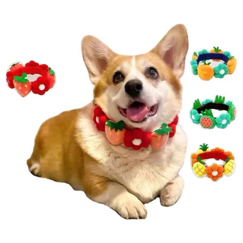 Pet cão colar arco-íris flores morango abacaxi colar Shiba Inu Keji cabelo colar gato jóias