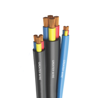 PVC/Gummi-Isolierung Abriebfest 1,5mm 2,5mm 4mm 6mm 10mm 16mm Wasserdichtes Tauchpumpen kabel
