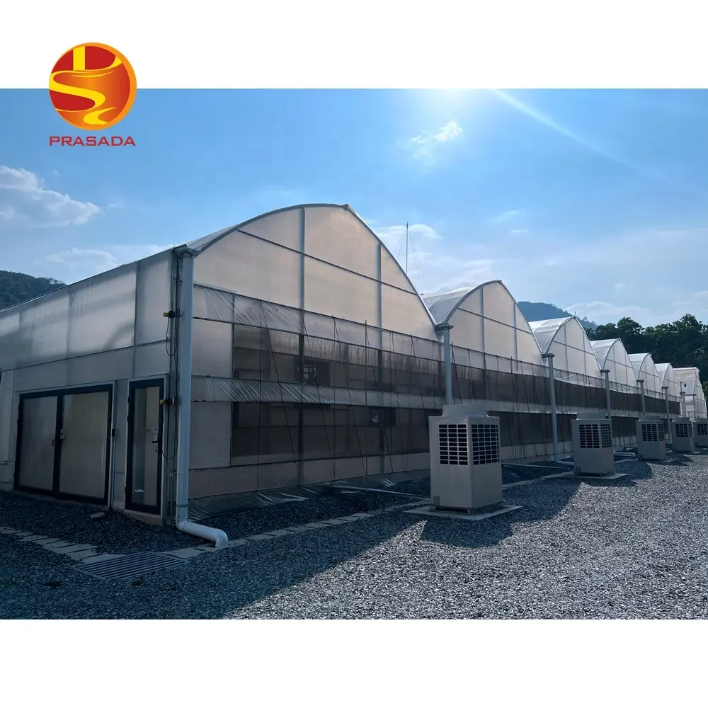 Proyek pertanian rumah kaca Prasada desain penutup plastik rumah kaca tomat tumbuh untuk pertanian