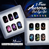 Hema TPO Free Aurora Cat Eye Gel Polish 13 Warna Pelangi Gel Kuku Magnetik UV Gel untuk Penggunaan Salon Ciptakan Manikur Kosmik Anda Sendiri