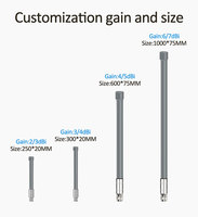 700-2700MHz Dual Band WIFI WLAN Omni Direccional N Macho Hembra Lora Gateway Outdoor 4G Antena de fibra de vidrio