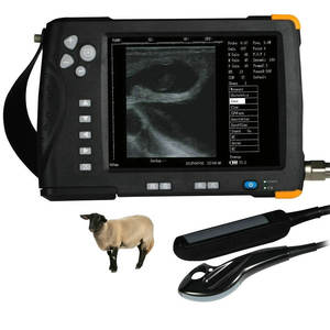 7 polegadas água prova veterinária ultra-som cavalo gado equino cabra ultra-som equipamento gravidez teste dispositivo para ovelhas - Product Image 1
