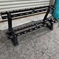 Support de rangement double niveau pour haltères SK-B43 (8 paires) – Équipement de gym commercial pour l'entraînement de force