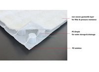 Ligne de production de panneaux de drainage en HDPE/LLDPE à extrusion monovis de 2m et 3m de large avec géotextile non tissé