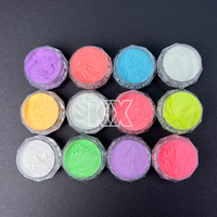 Glow in the Dark Party Supplies Glow in the Black Light Dark Face Body Paint Neon Fluorescent Phosphorescent Glow Powder