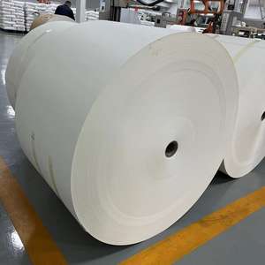 วัตถุดิบทำแก้วกระดาษเคลือบ PE เกรดอาหาร แบบม้วน บรรจุบนพาเลท ราคาถูกที่สุด - Product Image 2