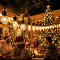 Guirnaldas de luces resistentes a la intemperie para iluminación de patios exteriores como luces comerciales duraderas para restaurantes, cafeterías, bodas y eventos.