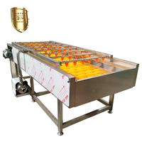VBJX RVS Groente- en Fruitwater Spuit Hogedrukreiniger Borstel Spuit Reinigingsmachine