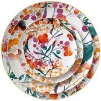 Service de vaisselle en porcelaine fine peinte à la main, motif floral coloré, avec assiettes de présentation à bord doré, pour mariage, événement, location et vente en gros