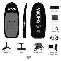 Planche de surf électrique hydrofoil en fibre de carbone unisexe, planche à suspension debout pour les lacs et les rivières, surf aquatique, puissance forte, sécurité