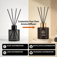 Diffuseur de parfum en verre transparent de 50 ml, nouveau design luxueux, marque privée, pour la maison, le bureau, la chambre à coucher