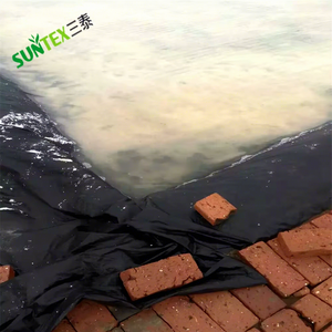 Géomembranes RPE 250 g/m² pour applications d'étanchéité de bassins, fermes piscicoles, piscines, décharges, revêtement anti-infiltration en HDPE - Product Image 4