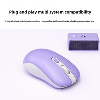 Souris d'ordinateur sans fil optique 2,4 GHz personnalisable, DPI réglable, type C rechargeable, souris double mode BT