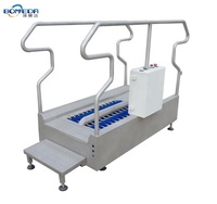 Kompakter Stiefelsohlenreiniger |   Mini Industrielle Schuhputzmaschine Lebensmittelanlage Hygienische Ausrüstung