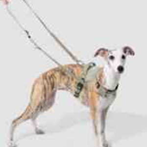 Harnais pour animaux à libération rapide, robuste, anti-traction et réfléchissant, type gilet pour chien, pour une promenade pratique - Product Image 3