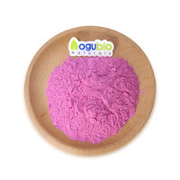 Poudre de framboise lyophilisée de haute qualité à bon prix, en vrac, naturelle, rouge