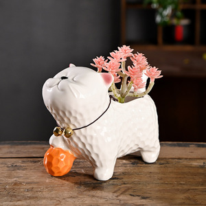 Pots à succulentes créatifs en céramique HY, motif animaux de dessin animé, en <span class=keywords><strong>terre</strong></span> <span class=keywords><strong>cuite</strong></span> spéciale pour usage domestique, contrôle des racines, vente de liquidation en gros - Product Image 4