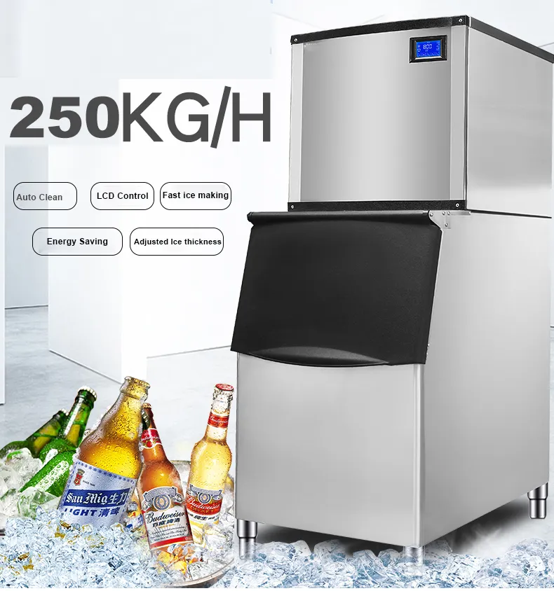 250Kg/Day Water Fountain Ice Maker Ice Maker Machines Ice Makers Company