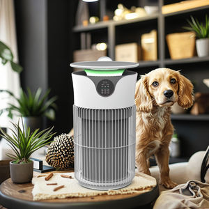 Penjernih Udara Plastik Modern Standar Rumah Sakit untuk Hewan Peliharaan, Menghilangkan 99,97% Alergen, Bersertifikat CE/ROHS/FCC, Ramah Lingkungan untuk Asma - Product Image 4