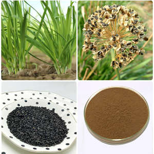 Cápsulas de Extracto de Planta Natural Longsheng, Semilla de Pueraria, Mejora la Función Sexual, Envasado al Vacío, Grado Alimenticio - Product Image 2