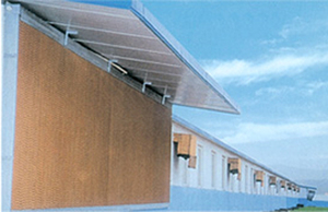 Industrielles Geflügelfarm-Gewächshaus Verdunstungskühlpad Luftkühlsystem - Product Image 3