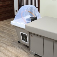 Defeinuo 2025 Lit de Spa Thaïlandais Électrique Professionnel Moderne pour Salon, Hydrothérapie Horizontale à Circulation, pour Salle de Bain et Salle de Sport