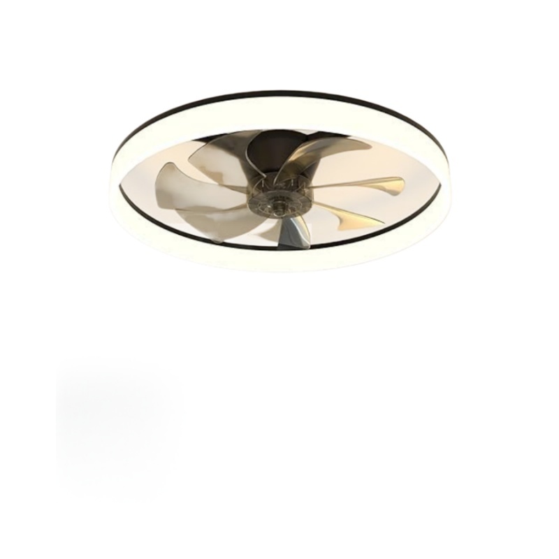 Intelligent modern 20 inch ceiling fan with LED moon light, 6-speed sealed roof socket, DC motor, brand new modern design