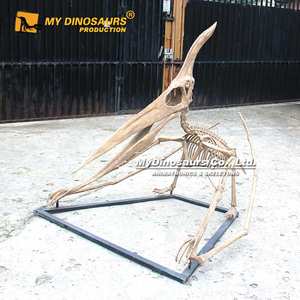 <span class=keywords><strong>Esqueleto</strong></span> de <span class=keywords><strong>Pteranodon</strong></span> de tamaño natural de MyDino, - Product Image 6