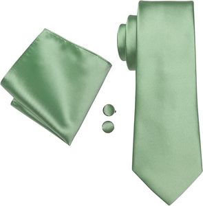 Cravates classiques formelles pour hommes en polyester uni, motif cachemire <span class=keywords><strong>vert</strong></span> <span class=keywords><strong>sauge</strong></span>, pour mariage et soirée, avec pochettes de costume et boutons de manchette - Product Image 3