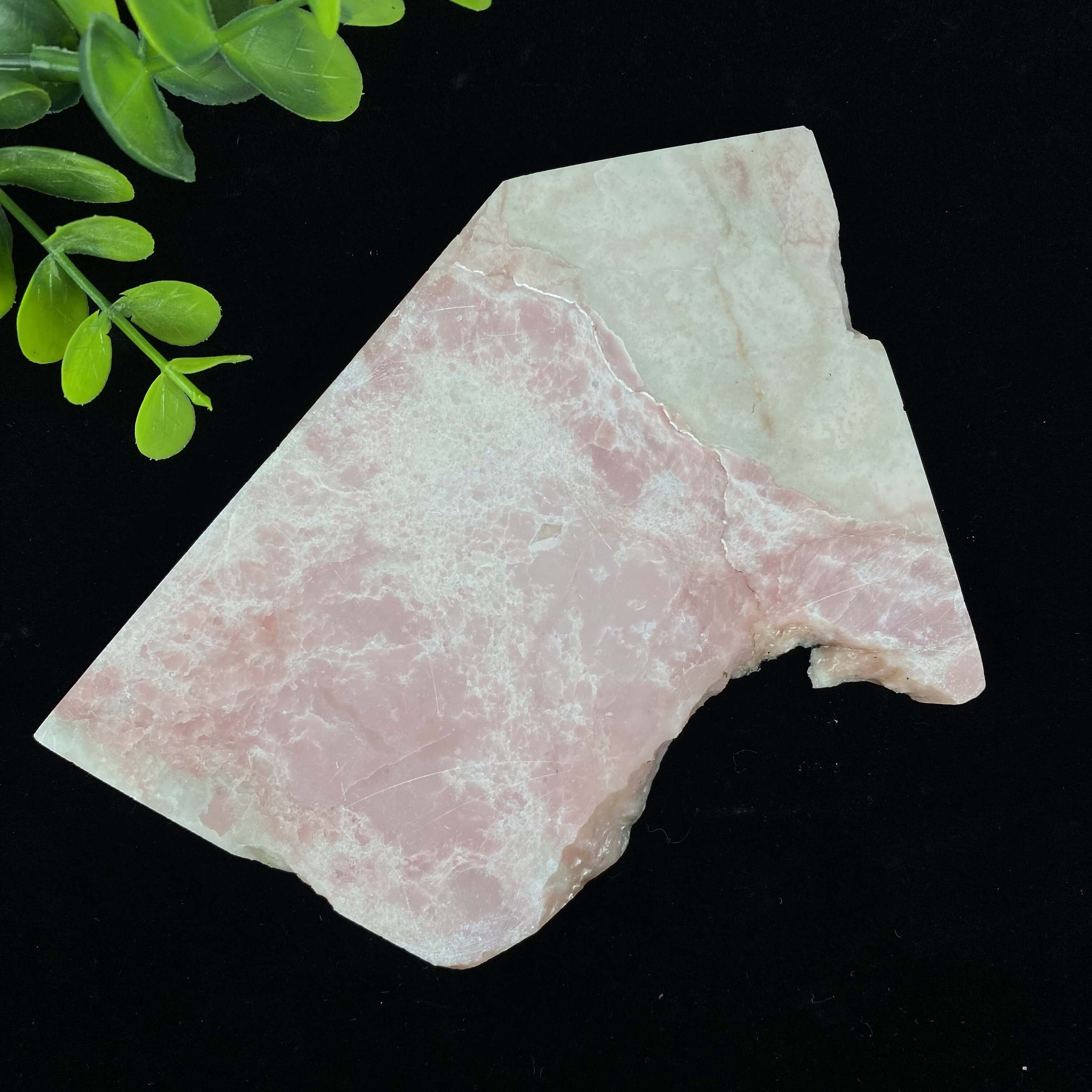 15. Opale rose