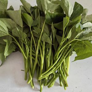 Hojas de pimienta de Jamaica frescas de primera calidad en forma de polvo vegetal crudo 1kg <span class=keywords><strong>verde</strong></span> Bencao Yutang para procesamiento de alimentos y condimentos - Product Image 3