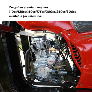 Betaalbare Driewieler Auto Met Zwaar Vrachtvervoer In Uitdagende Wegen En Smalle Straten <span class=keywords><strong>3</strong></span>-wielige Motorfiets - Product Image 2